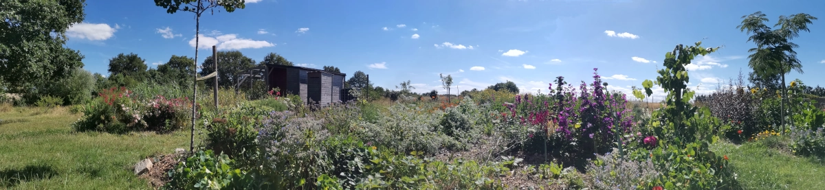 Le Jardin des Ombelles - Le lieu